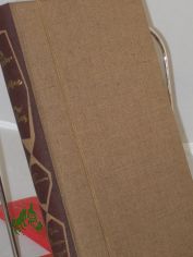 Der goldene Trog : Roman / Jan Rheinsperger