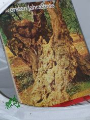 Die ersten Jahrzehnte : d. Neue Testament mit Bildern u. Fakten aus seiner Umwelt ; Ausw. aus d. Neuen Testament in d. � ers. d. 