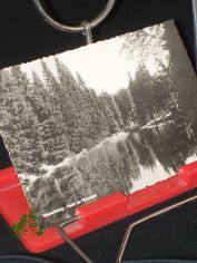 Masserberg, Teich im Werratal