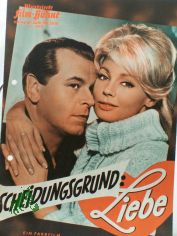 Nr. 05395, Scheidungsgrund Liebe