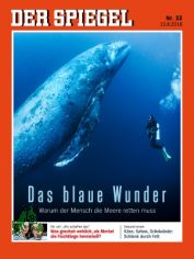 33/2016, Das blaue Wunder