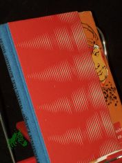 Warte, ich komme nach : Ein heiterer Roman / Friedrich Lange