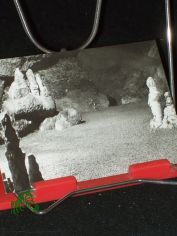 R�beland (Harz), Baumannsh�hle Hamburger Wappen