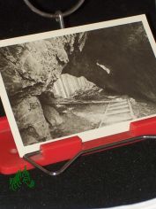 Tabarz Th�ringer Wald, Torstein am Inselsberg