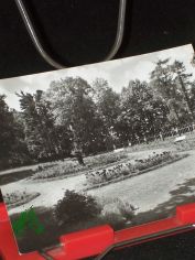 Kurbad Bad Lausick, Rosengarten