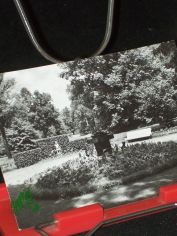 Kurbad Bad Lausick, Vogelbrunnen im Kurpark