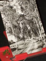 Gneisenhauptstadt SCHILDAU, Schildbergweg, Foto:K�hn