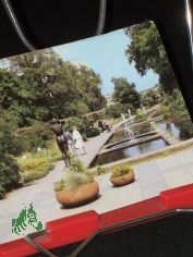 Potsdam, Freundschaftsinsel, Farbfoto: Darr