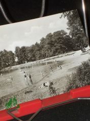 L�bsch�tzer Teiche bei Machern. (Kreis Wurzen) Liegewiese am Badeteich