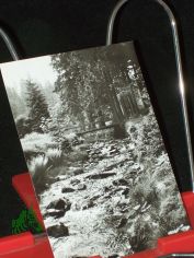 Die Rote Wei�eritz, bei Waldb�renburg im Osterzgebirge