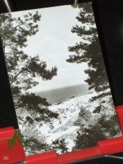 Seebad Bansin, Blick auf den Strand