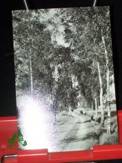 Gneisenhauptstadt SCHILDAU, Schildbergweg, Foto K�hn