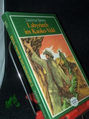 Labyrinth im Kaoko-Veld : Roman / Dietmar Beetz