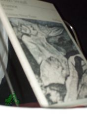 Rumor : Roman / Botho Strauss