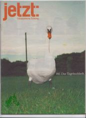 41, 1999, Das Tagebuchheft