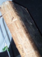 Vollst�ndige Anleitung zur Algebra. Erster Theil -Von den verschiedenen Rechnungsarten, Verh�ltnissen und Proportionen