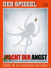 41/2010, Macht der Angst