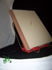 Karl Louis Krauss. Das Leben meines Vaters von F. E. Krauss