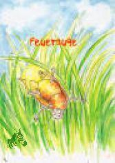 Luka, Lilly und das Feuerauge / Kai R�nnau