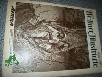 26/1955 AFRIKA  BERICHT �BER DEN FRANZ�SISCHEN FILM NAGANO