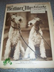 41/1953 SIND WIR NICHT SCH�N? EIN DRAHTHAARFOX TERRIER P�RCHEN
