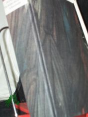 Die Bilder des Zeugen Schattmann : Ein Roman �ber dt. Vergangenheit u. Gegenwart / Peter Edel