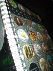 Sammelalbum - Hallebilder