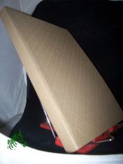 Ostsee Exkursion vom 21. Juni bis 5. Juli 1952