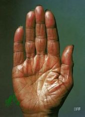 Zeit Blicke : 30 Jahre Fotografie in Deutschland ; 30 Jahre BFF, Bund Freischaffender Foto-Designer ; [begleitet die Ausstellung 