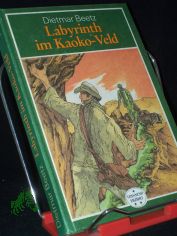 Labyrinth im Kaoko-Veld : Roman / Dietmar Beetz