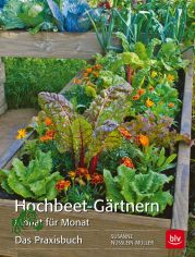 Hochbeet-G�rtnern Monat f�r Monat : das Praxisbuch / Susanne N�sslein-M�ller